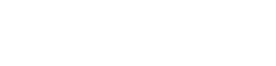 Echovise